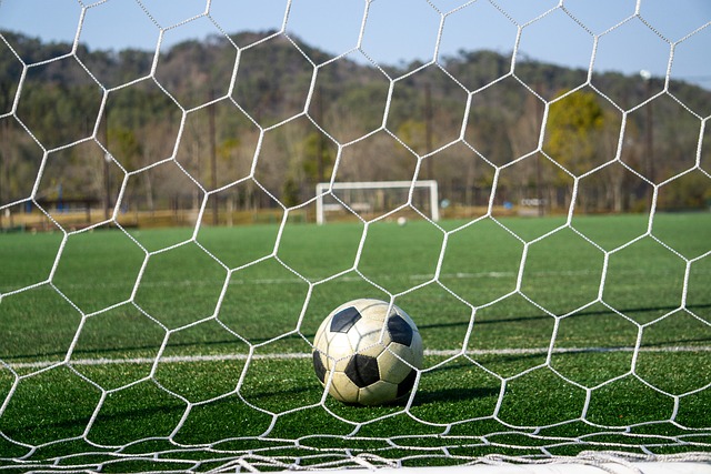 生的起点 生的起点