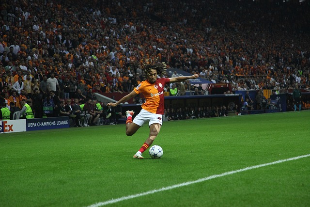 的排名波动 的排名波动