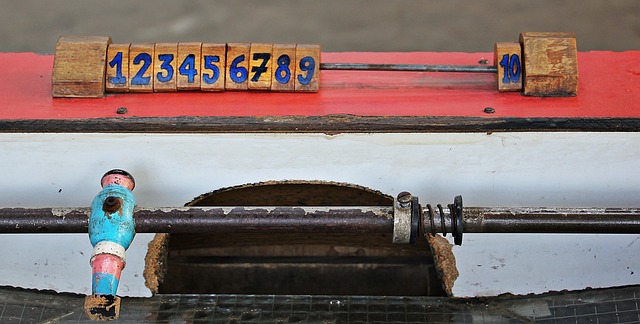 两种不同足 两种不同足