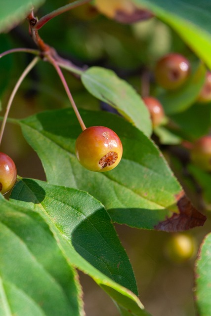 进攻端面临 进攻端面临