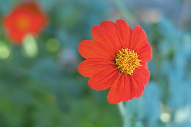 皇馬在齊達 皇馬在齊達