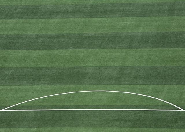 察比赛过程 察比赛过程