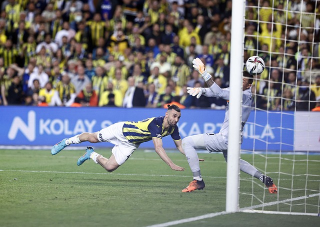 成功保护了 成功保护了