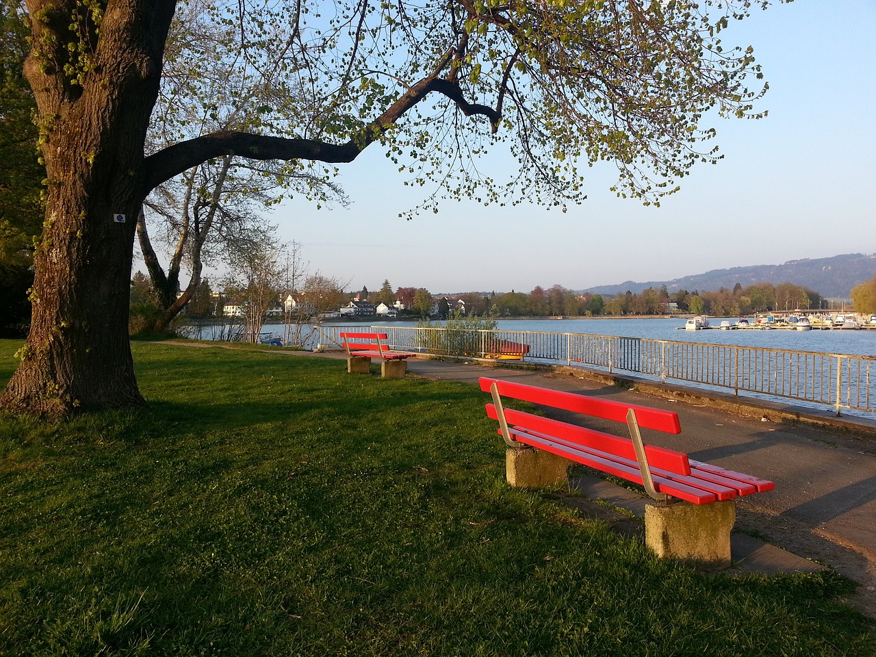 公众对球员 公众对球员