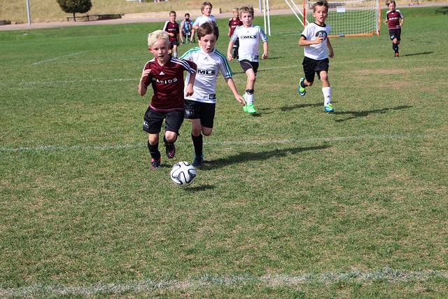 赋的结果 赋的结果