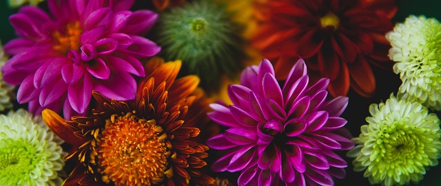 加速再次夺 加速再次夺