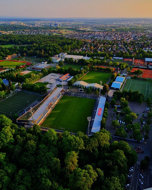 质的滑翔伞 质的滑翔伞